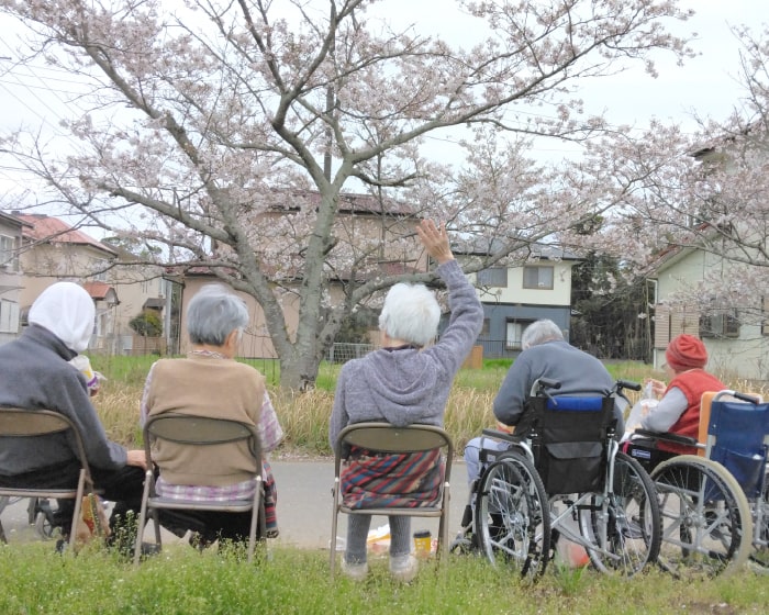 お花見